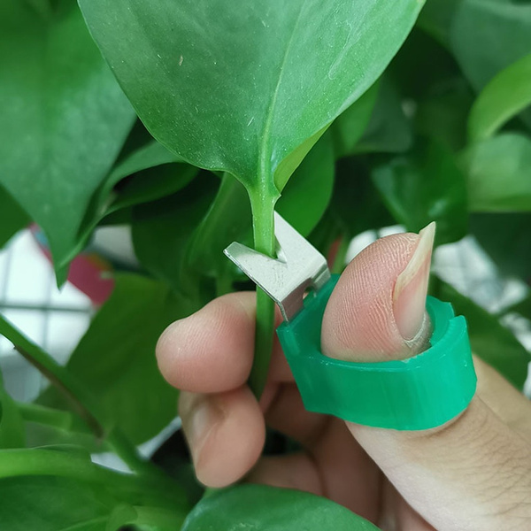 Mini Plant Pruner | Green