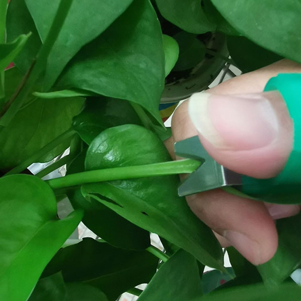 Mini Sécateur pour plante | Vert