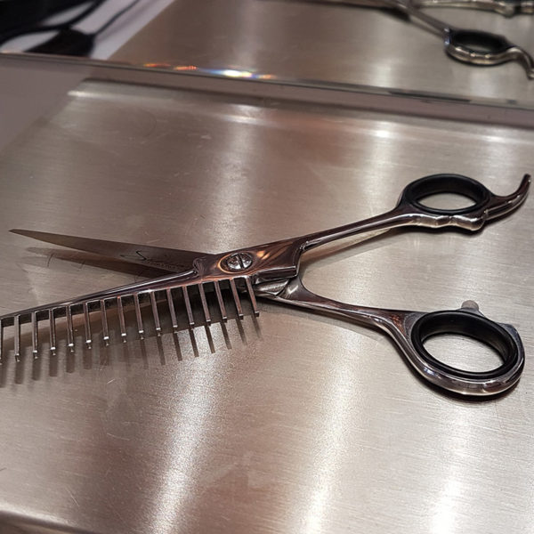 Professional Stainless Steel Scissors-Comb SORIBA