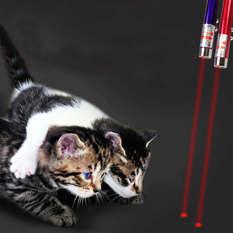 Lot 10X Stylo Laser Pointeur Porte Clé Chat Chien Led Enfants